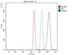 HSPA9 Antibody in Flow Cytometry (Flow)
