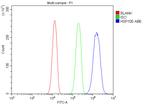 HSP105 Antibody in Flow Cytometry (Flow)