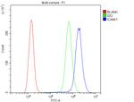ICAM-1 (CD54) Antibody in Flow Cytometry (Flow)