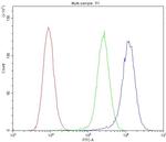ICOS (CD278) Antibody in Flow Cytometry (Flow)