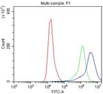 IFNGR1 (CD119) Antibody in Flow Cytometry (Flow)