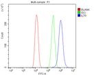 CD127 Antibody in Flow Cytometry (Flow)