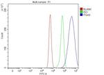 CD49c (Integrin alpha 3) Antibody in Flow Cytometry (Flow)