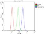 CD11b Antibody in Flow Cytometry (Flow)