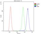 CD104 (Integrin beta 4) Antibody in Flow Cytometry (Flow)
