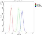 Galectin 3 Antibody in Flow Cytometry (Flow)