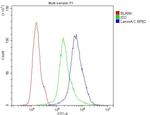 Lamin A/C Antibody in Flow Cytometry (Flow)