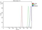 Lamin B1 Antibody in Flow Cytometry (Flow)