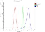 Ly-6A/E (Sca-1) Antibody in Flow Cytometry (Flow)