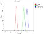 MAOA Antibody in Flow Cytometry (Flow)