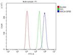 MAOA Antibody in Flow Cytometry (Flow)