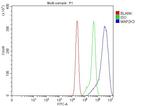 MEK3 Antibody in Flow Cytometry (Flow)