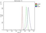 MCM7 Antibody in Flow Cytometry (Flow)