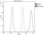 MCM7 Antibody in Flow Cytometry (Flow)