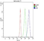 MICB Antibody in Flow Cytometry (Flow)
