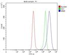 CD10 Antibody in Flow Cytometry (Flow)
