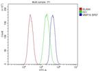 MMP16 Antibody in Flow Cytometry (Flow)