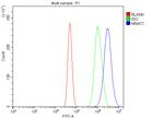 MNAT1 Antibody in Flow Cytometry (Flow)