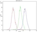 MVP Antibody in Flow Cytometry (Flow)
