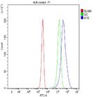 Myb Antibody in Flow Cytometry (Flow)