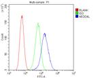 NEDD4L Antibody in Flow Cytometry (Flow)