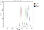 HEF1 Antibody in Flow Cytometry (Flow)