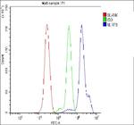 NLRP3 Antibody in Flow Cytometry (Flow)