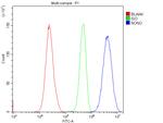 NONO Antibody in Flow Cytometry (Flow)