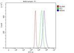NRXN1 Antibody in Flow Cytometry (Flow)