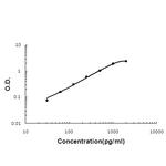 Oncostatin M Polyclonal Antibody