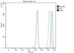 PAH Antibody in Flow Cytometry (Flow)