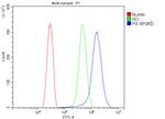 PI3 Antibody in Flow Cytometry (Flow)