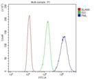 PML Antibody in Flow Cytometry (Flow)