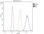 PML Antibody in Flow Cytometry (Flow)