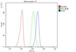 Cytochrome P450 Reductase Antibody in Flow Cytometry (Flow)
