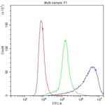 MYPT1 Antibody in Flow Cytometry (Flow)