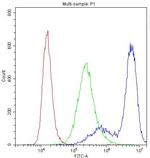 MYPT1 Antibody in Flow Cytometry (Flow)