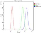 DARPP-32 Antibody in Flow Cytometry (Flow)