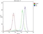 PRX Antibody in Flow Cytometry (Flow)