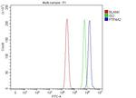 PTP4A2 Antibody in Flow Cytometry (Flow)