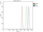PTP1B Antibody in Flow Cytometry (Flow)