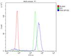 RAN Antibody in Flow Cytometry (Flow)