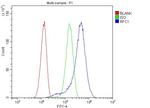 RFC1 Antibody in Flow Cytometry (Flow)
