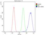 RNH1 Antibody in Flow Cytometry (Flow)
