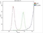 RNH1 Antibody in Flow Cytometry (Flow)