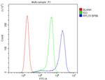 RPL19 Antibody in Flow Cytometry (Flow)