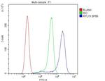 RPL19 Antibody in Flow Cytometry (Flow)