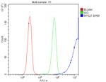 MPS1 Antibody in Flow Cytometry (Flow)
