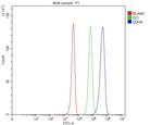SDHA Antibody in Flow Cytometry (Flow)