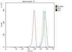 SF1 Antibody in Flow Cytometry (Flow)